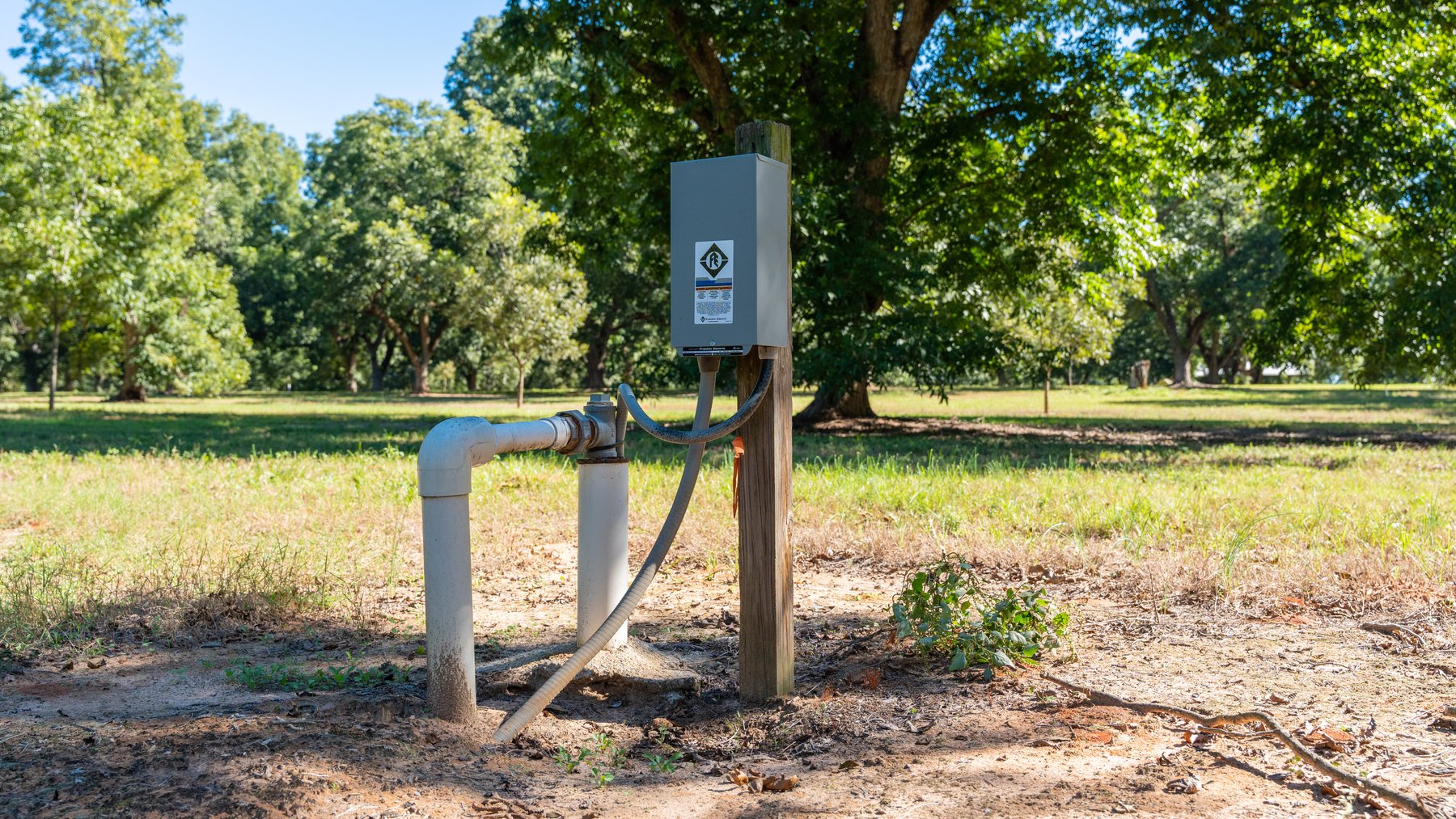 Image for 170+/- Acres - Musgrove Estate - Turn-Key Pecan Operation - Sportsman's Paradise