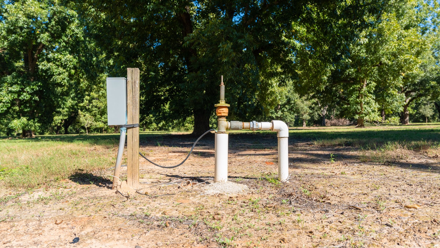 Image for 170+/- Acres - Musgrove Estate - Turn-Key Pecan Operation - Sportsman's Paradise