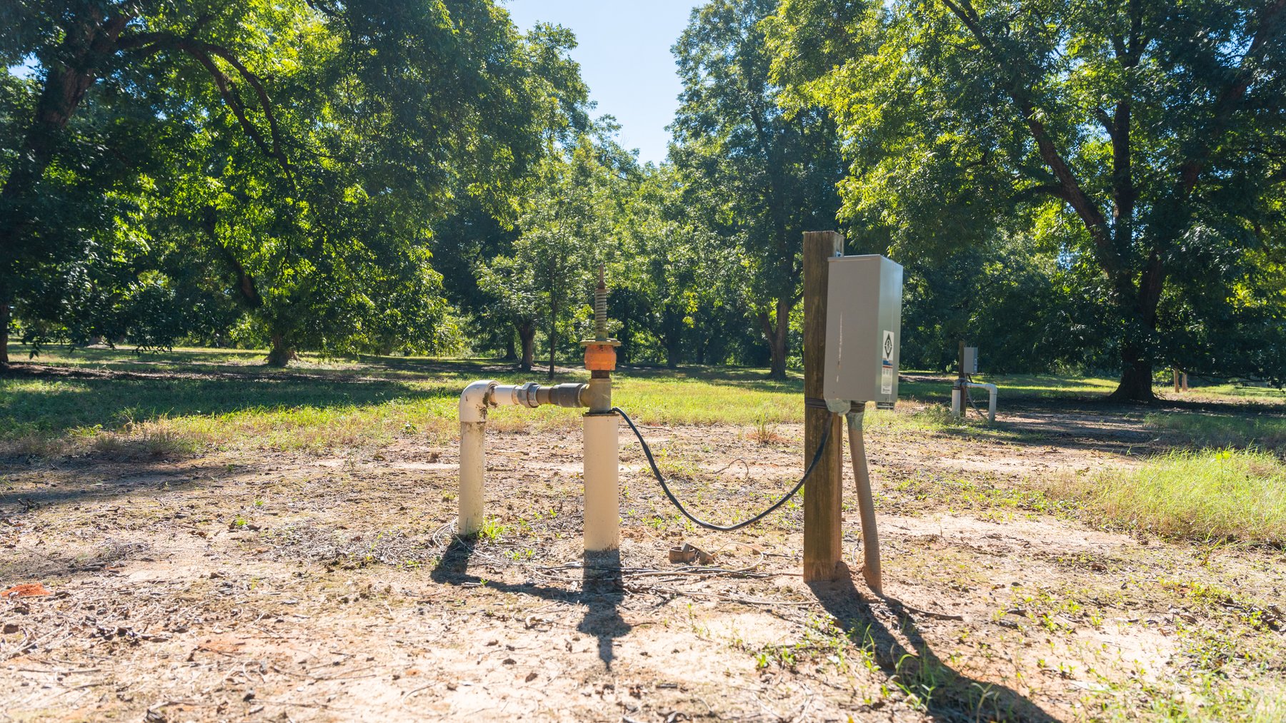 Image for 170+/- Acres - Musgrove Estate - Turn-Key Pecan Operation - Sportsman's Paradise