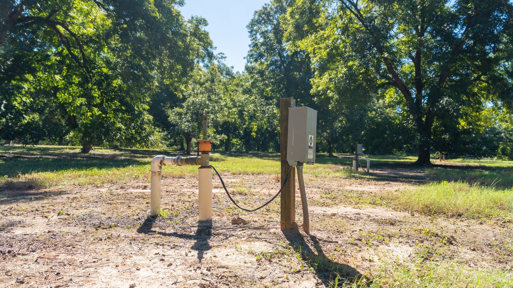 Image for 170+/- Acres - Musgrove Estate - Turn-Key Pecan Operation - Sportsman's Paradise