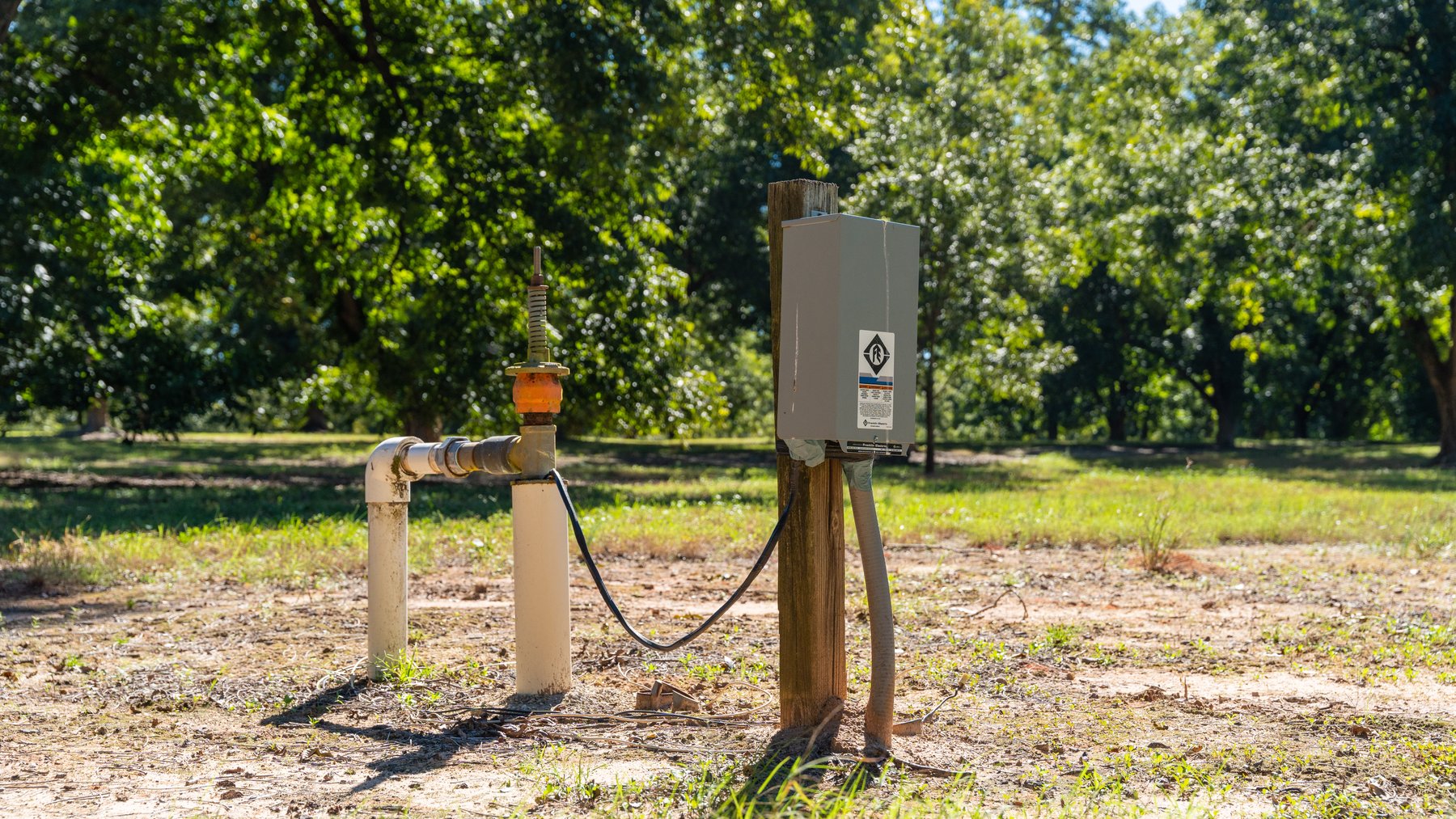 Image for 170+/- Acres - Musgrove Estate - Turn-Key Pecan Operation - Sportsman's Paradise