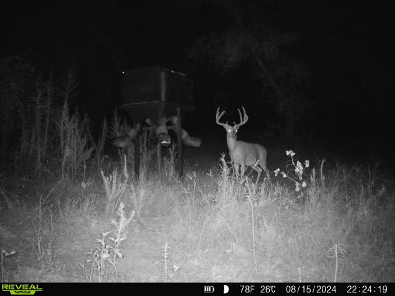 Image for M7 Muckalee Creek Farms - 235.57 +/- Total Acres  - Turn-Key Sportsman’s Retreat