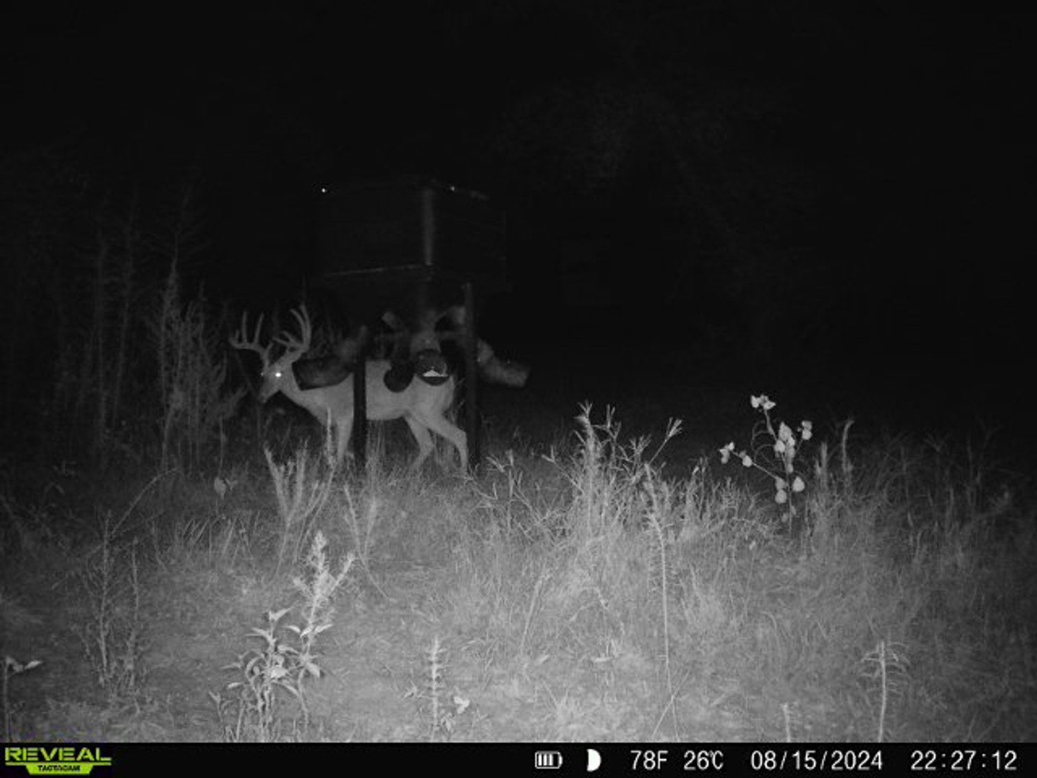 Image for M7 Muckalee Creek Farms - 235.57 +/- Total Acres  - Turn-Key Sportsman’s Retreat