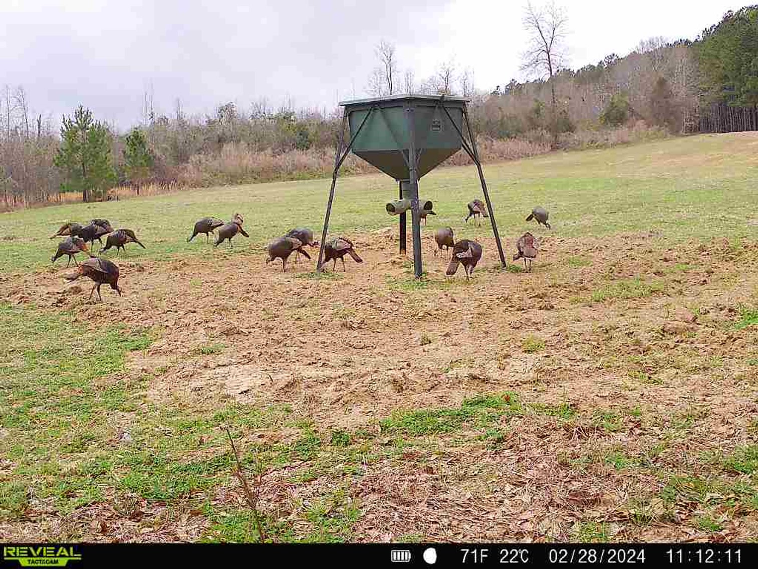 Image for M7 Muckalee Creek Farms - 235.57 +/- Total Acres  - Turn-Key Sportsman’s Retreat