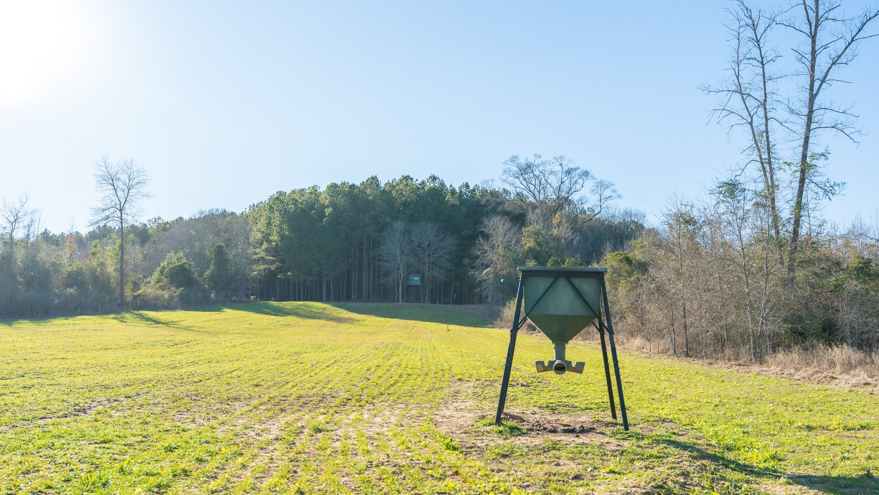 Image for M7 Muckalee Creek Farms - 235.57 +/- Total Acres  - Turn-Key Sportsman’s Retreat