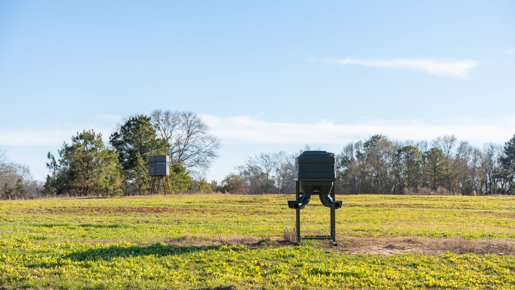 Image for M7 Muckalee Creek Farms - 235.57 +/- Total Acres  - Turn-Key Sportsman’s Retreat