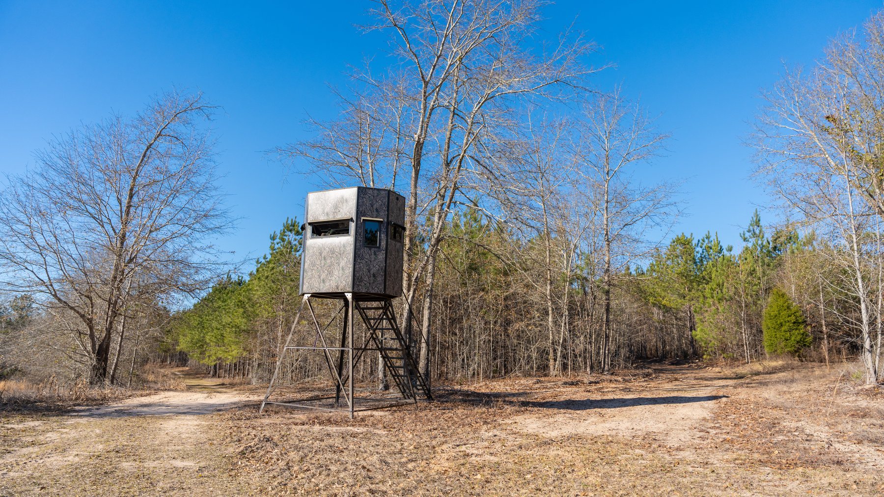 Image for M7 Muckalee Creek Farms - 235.57 +/- Total Acres  - Turn-Key Sportsman’s Retreat