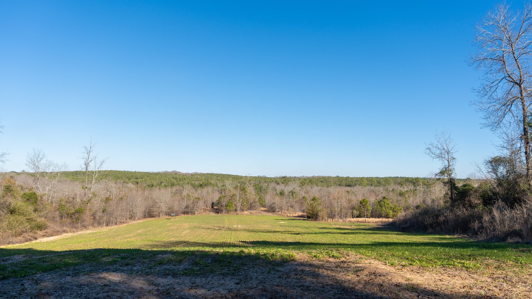 Image for M7 Muckalee Creek Farms - 235.57 +/- Total Acres  - Turn-Key Sportsman’s Retreat