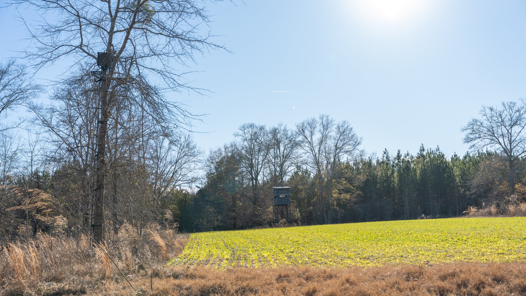 Image for M7 Muckalee Creek Farms - 235.57 +/- Total Acres  - Turn-Key Sportsman’s Retreat