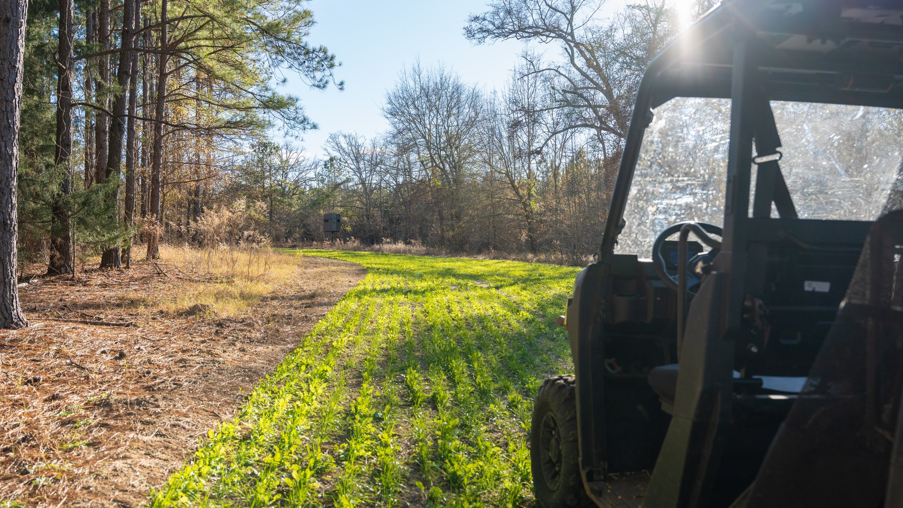 Image for M7 Muckalee Creek Farms - 235.57 +/- Total Acres  - Turn-Key Sportsman’s Retreat