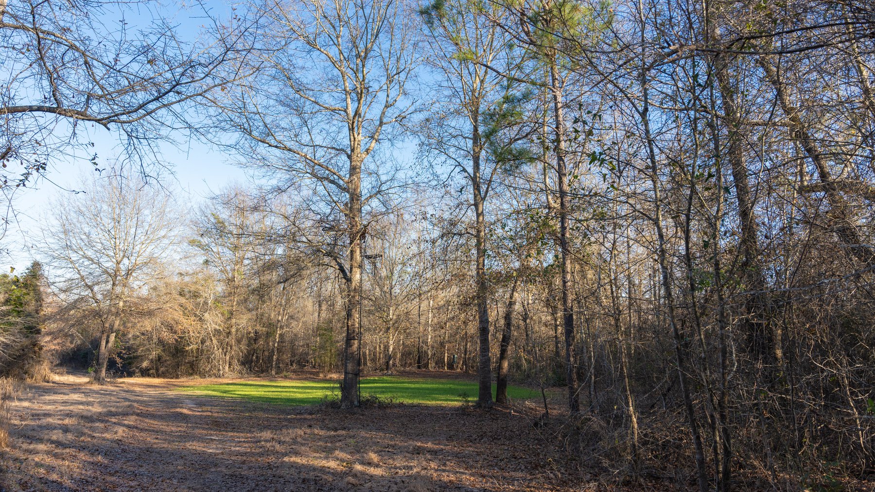 Image for M7 Muckalee Creek Farms - 235.57 +/- Total Acres  - Turn-Key Sportsman’s Retreat