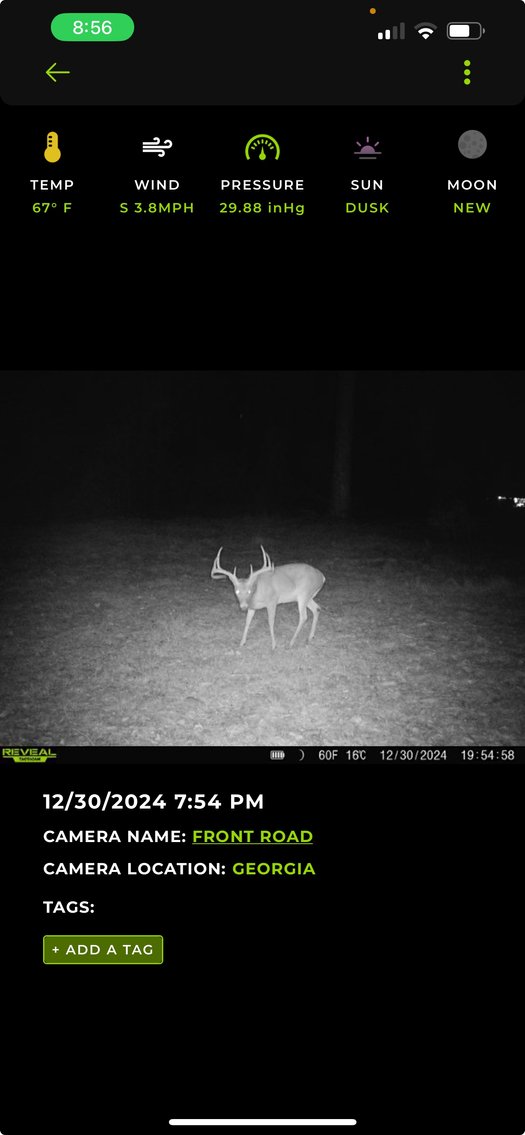 Image for M7 Muckalee Creek Farms - 235.57 +/- Total Acres  - Turn-Key Sportsman’s Retreat