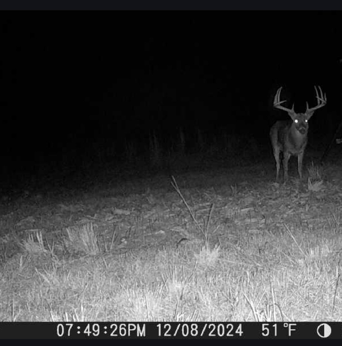 Image for M7 Muckalee Creek Farms - 235.57 +/- Total Acres  - Turn-Key Sportsman’s Retreat