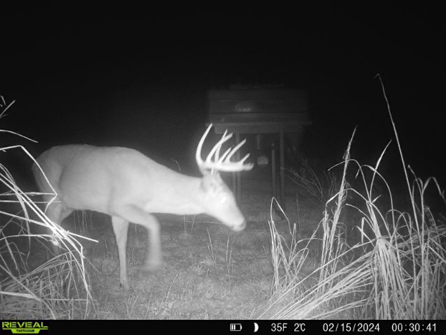 Image for M7 Muckalee Creek Farms - 235.57 +/- Total Acres  - Turn-Key Sportsman’s Retreat