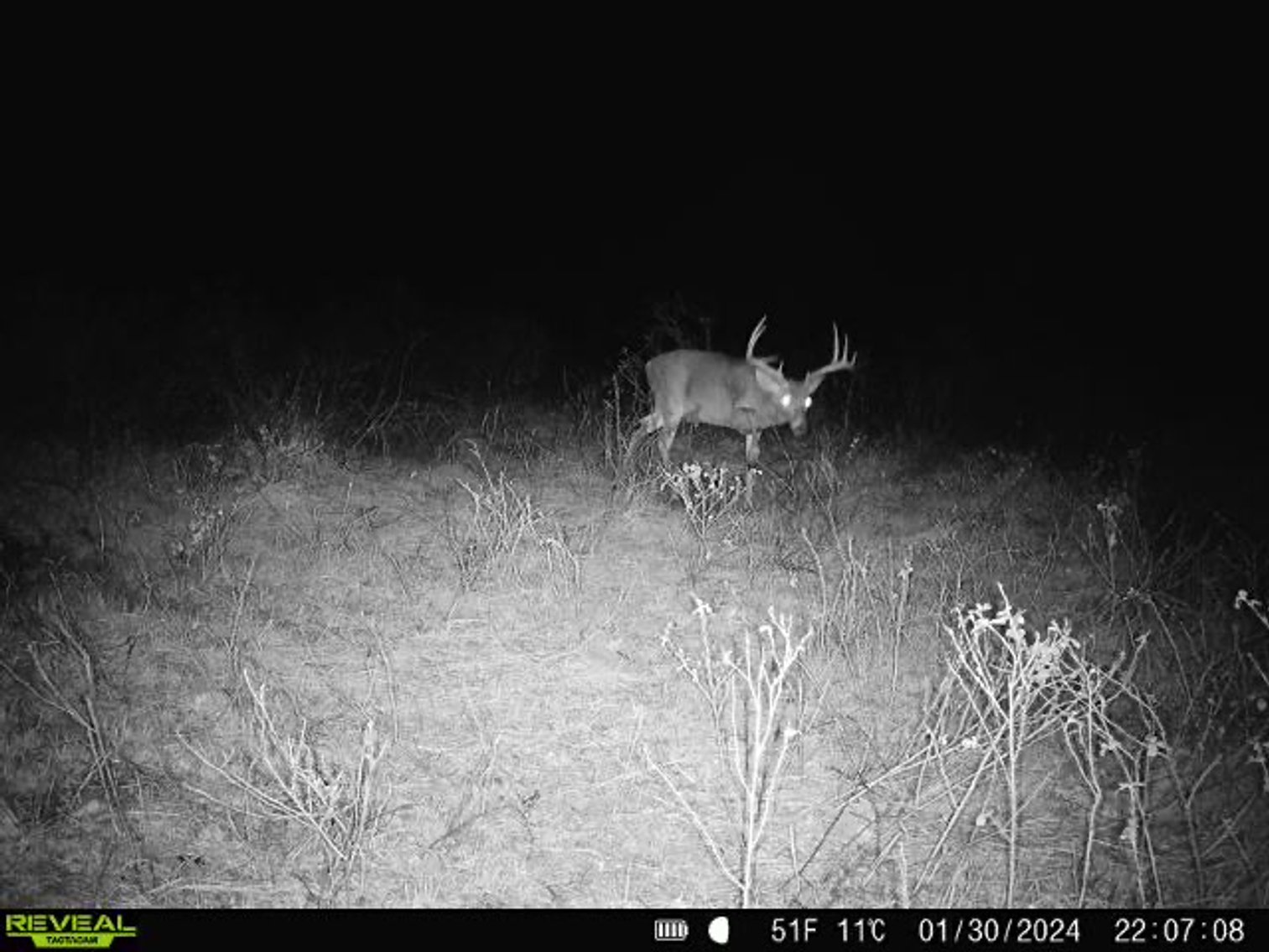 Image for M7 Muckalee Creek Farms - 235.57 +/- Total Acres  - Turn-Key Sportsman’s Retreat