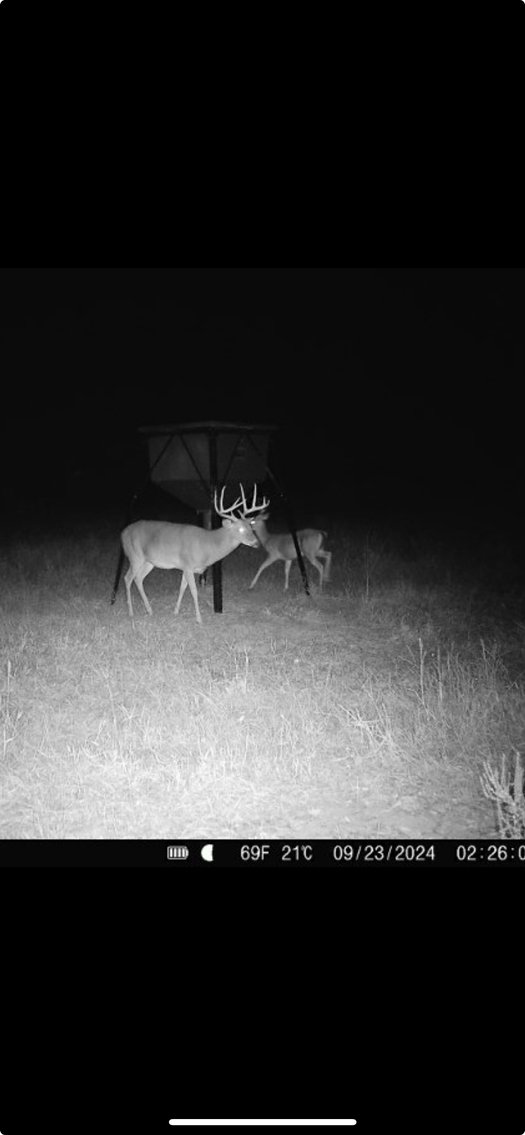 Image for M7 Muckalee Creek Farms - 235.57 +/- Total Acres  - Turn-Key Sportsman’s Retreat