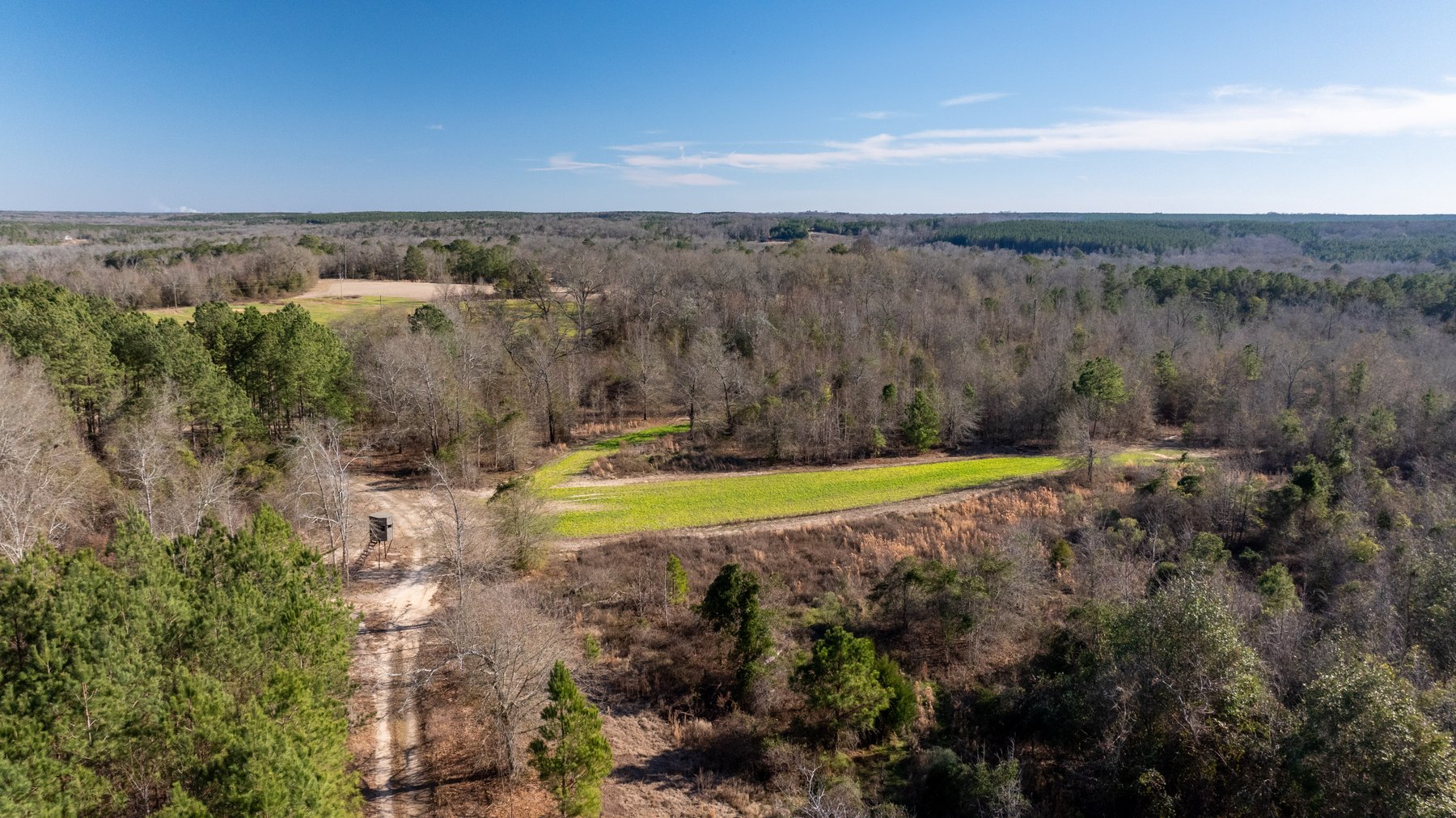 Image for M7 Muckalee Creek Farms - 235.57 +/- Total Acres  - Turn-Key Sportsman’s Retreat