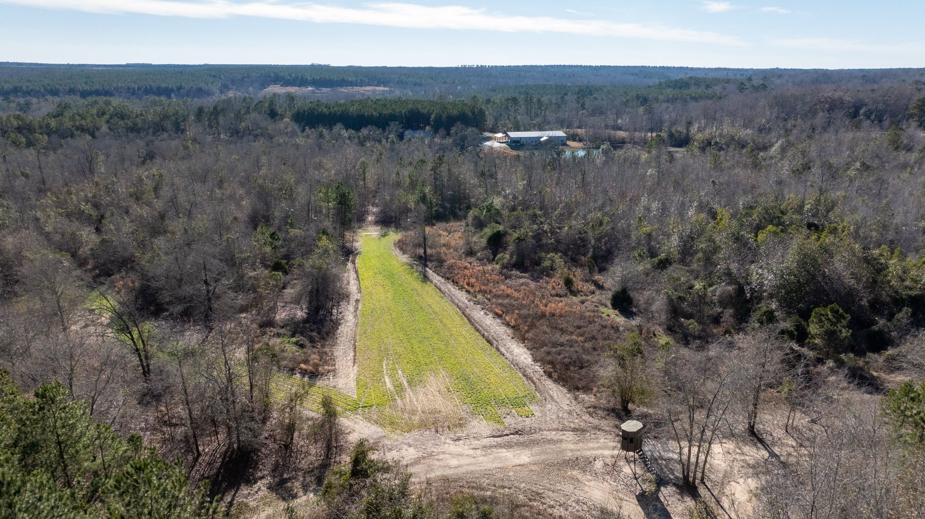 Image for M7 Muckalee Creek Farms - 235.57 +/- Total Acres  - Turn-Key Sportsman’s Retreat