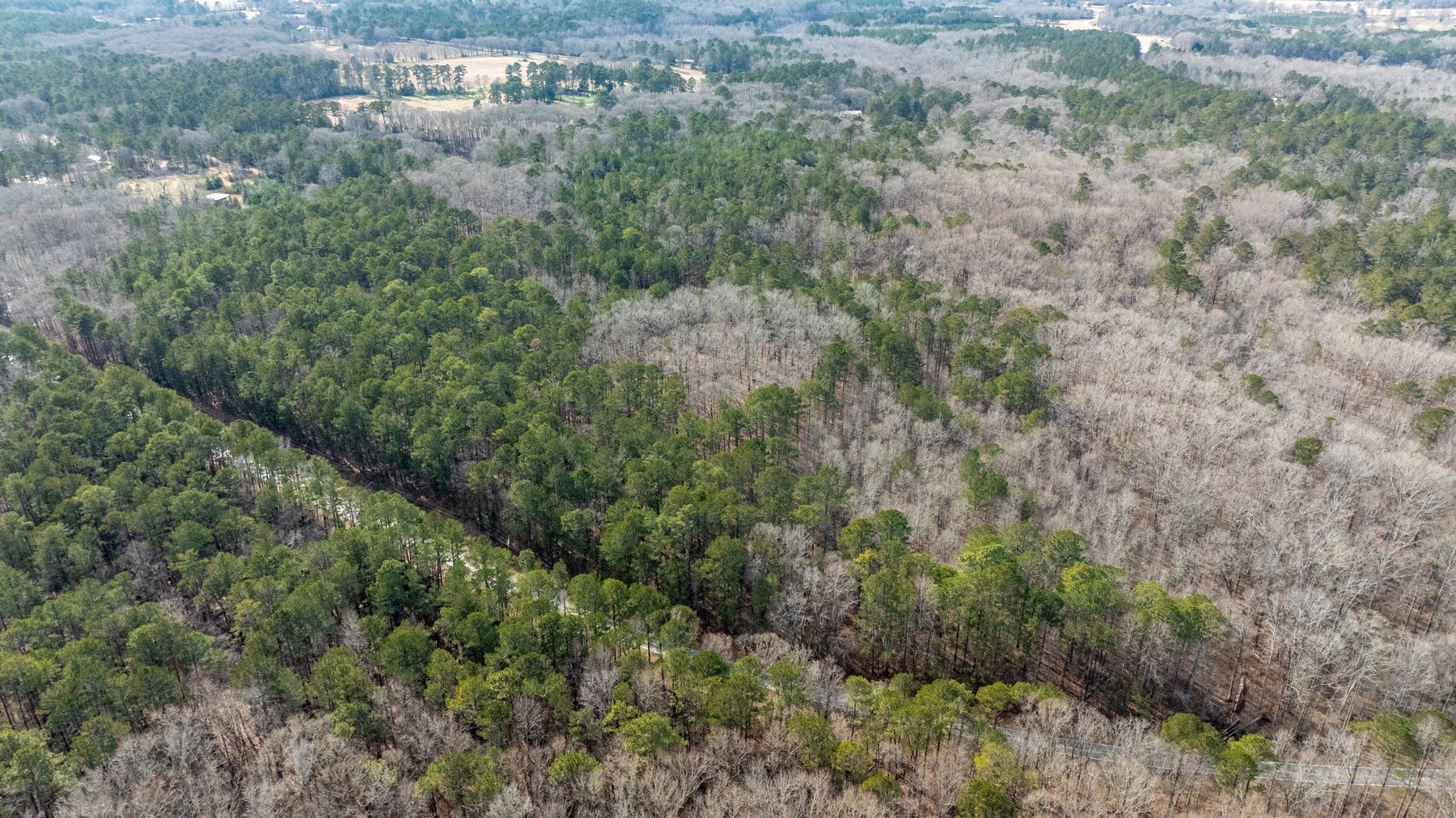 Image for 38.2 +/- Acres - Higgins Curve - Prime Building Lots w/ Recreational Acreage - Offered Divided & As A Whole