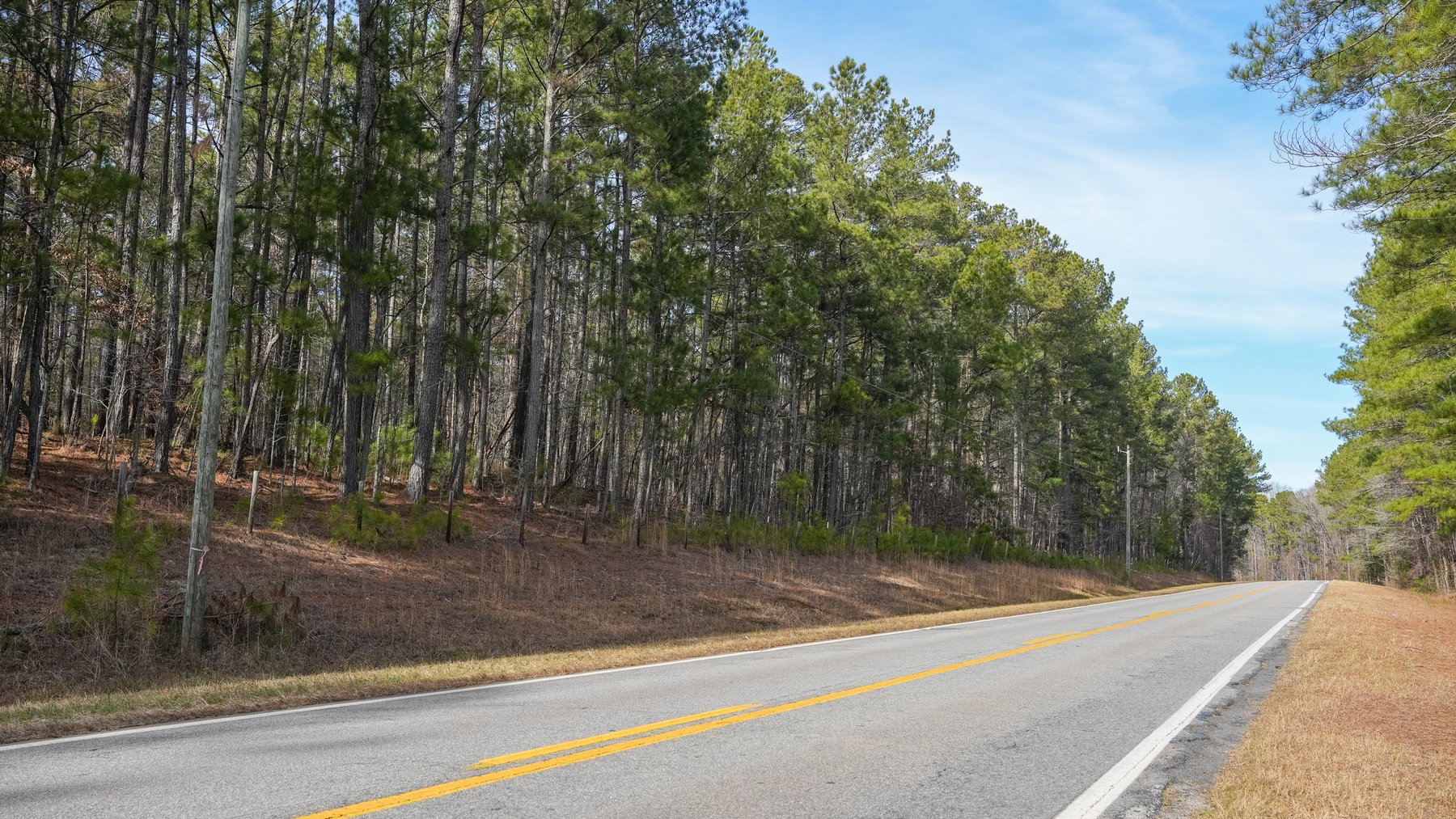 Image for 38.2 +/- Acres - Higgins Curve - Prime Building Lots w/ Recreational Acreage - Offered Divided & As A Whole