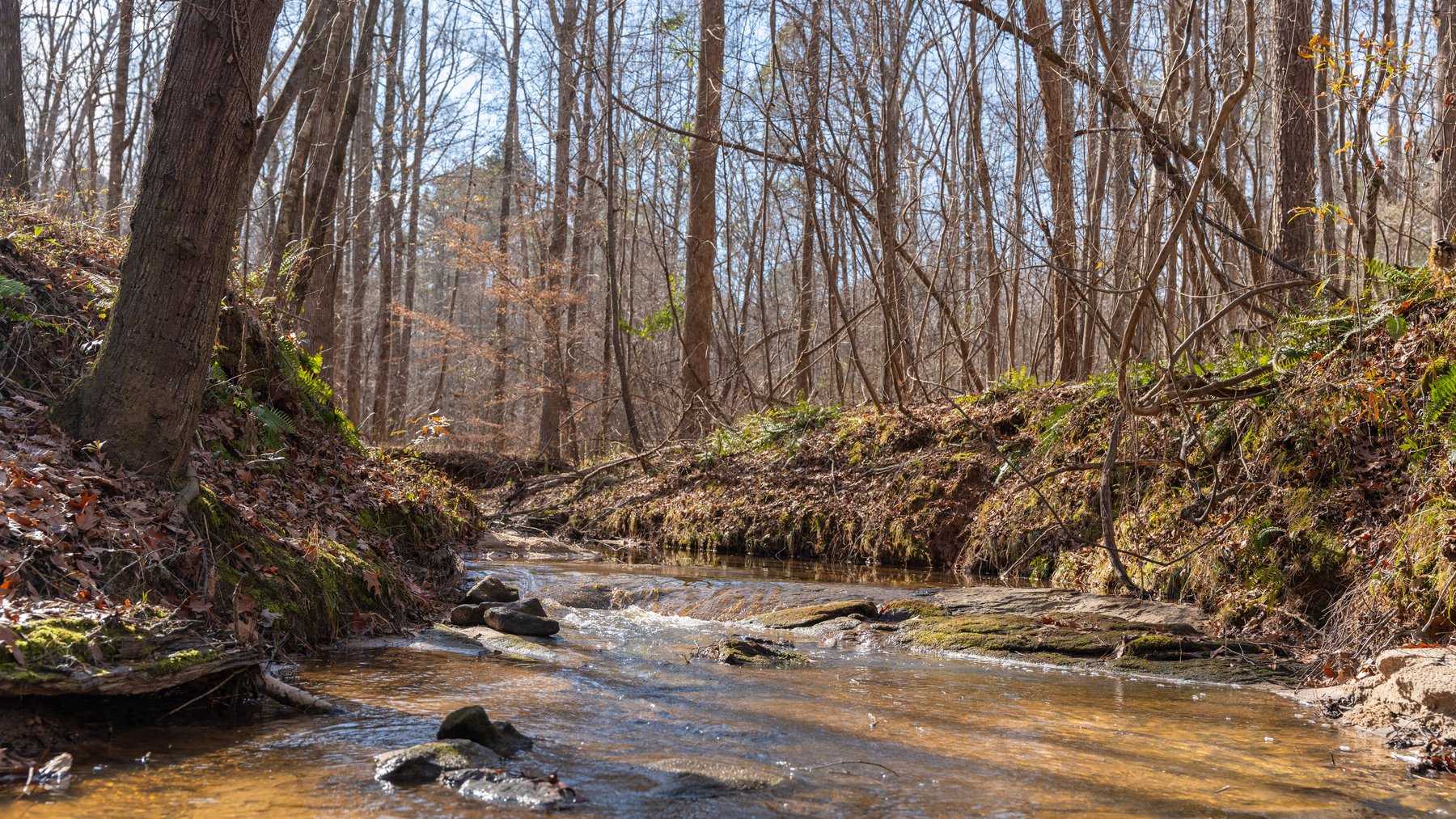 Image for 38.2 +/- Acres - Higgins Curve - Prime Building Lots w/ Recreational Acreage - Offered Divided & As A Whole