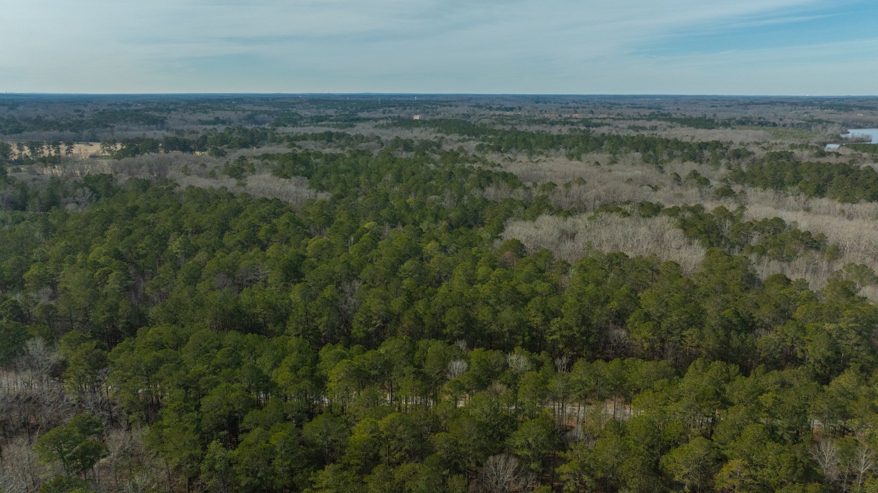 Image for 38.2 +/- Acres - Higgins Curve - Prime Building Lots w/ Recreational Acreage - Offered Divided & As A Whole