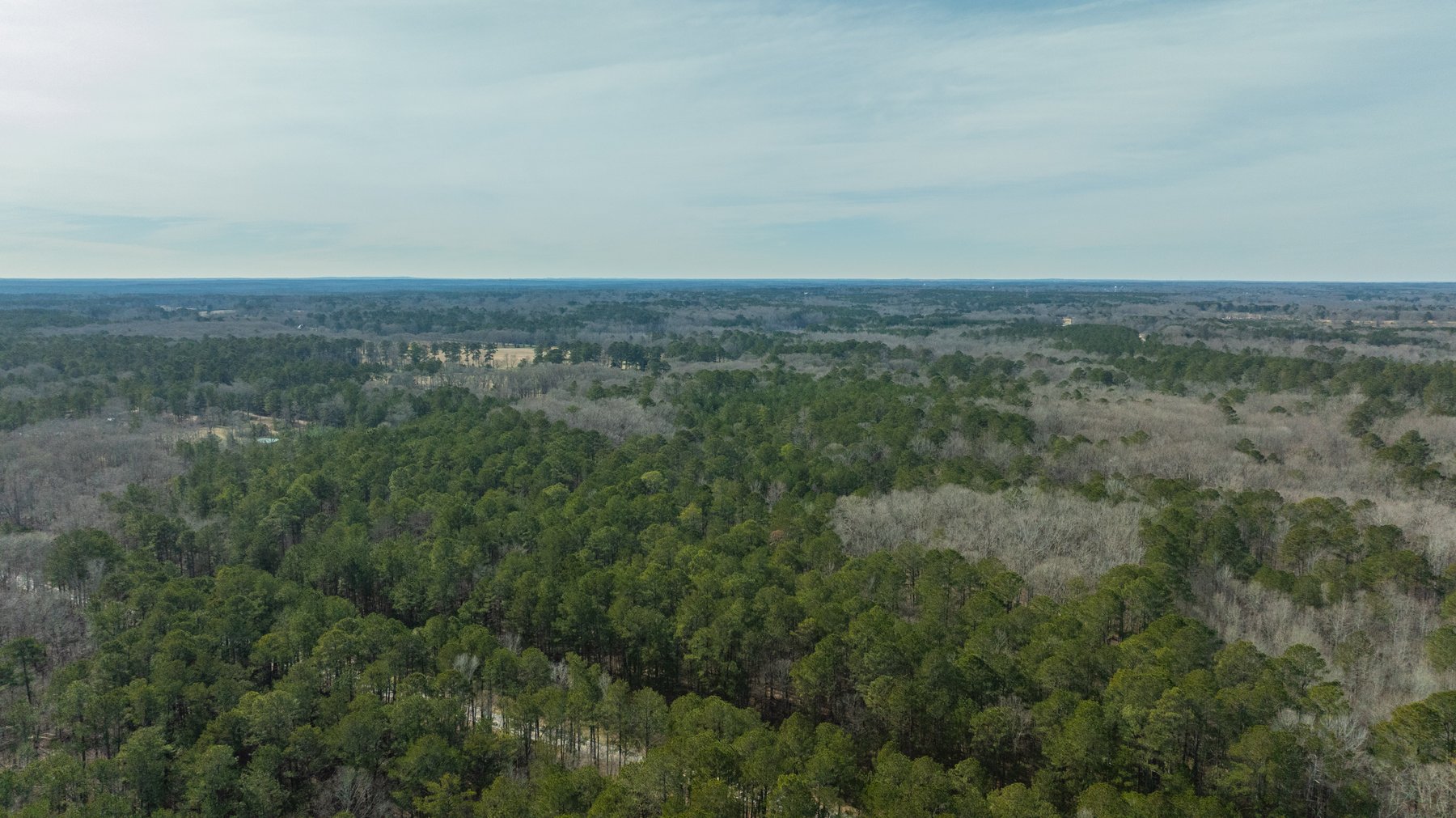 Image for 38.2 +/- Acres - Higgins Curve - Prime Building Lots w/ Recreational Acreage - Offered Divided & As A Whole