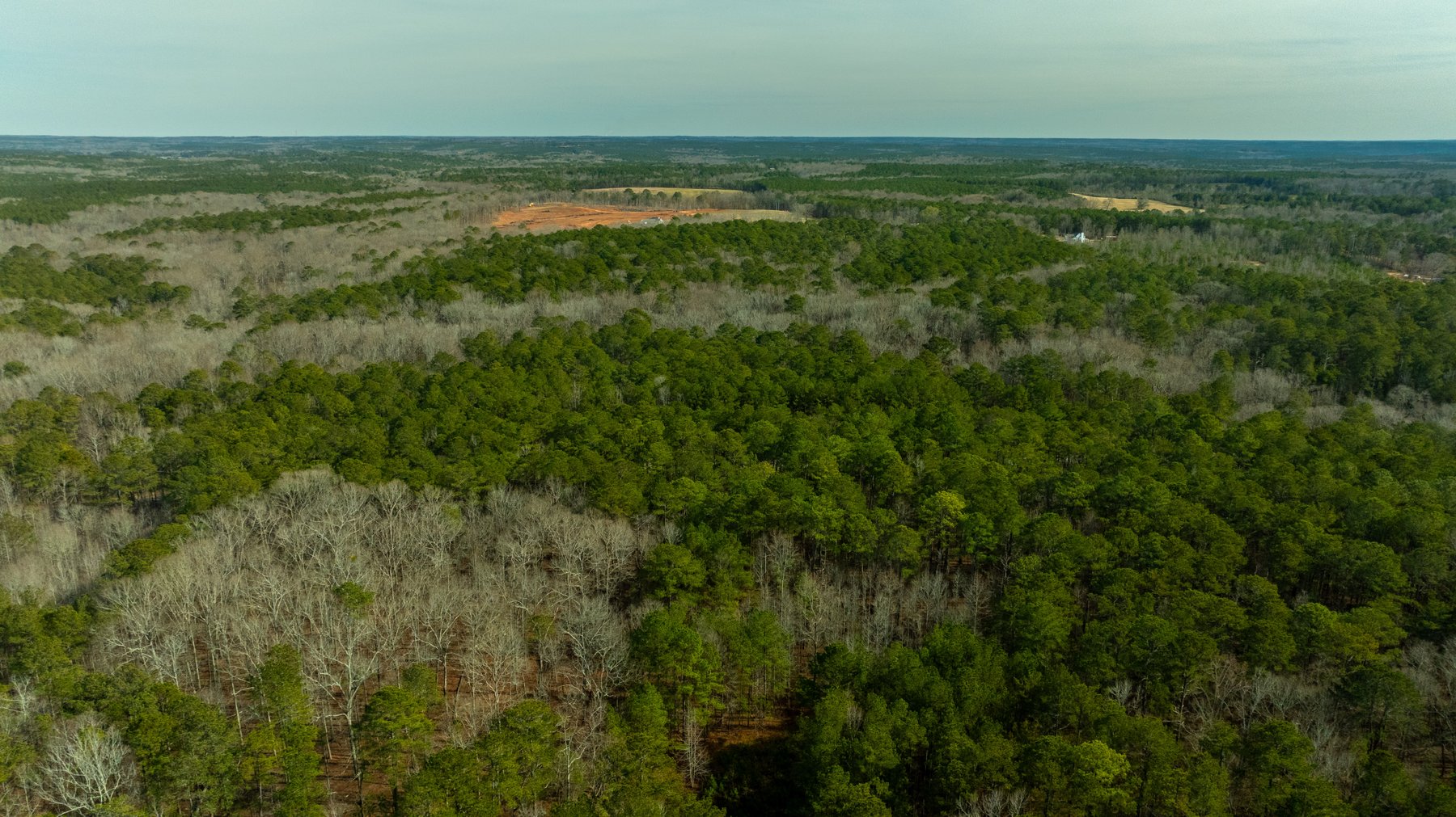 Image for 38.2 +/- Acres - Higgins Curve - Prime Building Lots w/ Recreational Acreage - Offered Divided & As A Whole