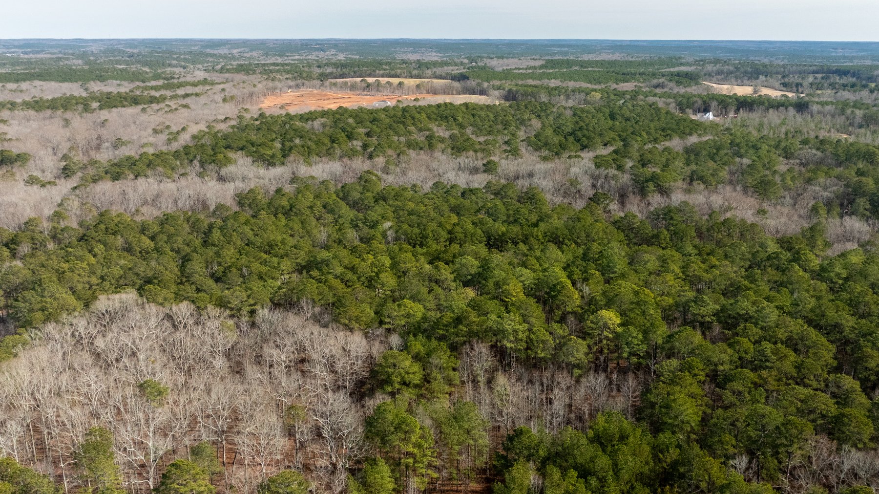 Image for 38.2 +/- Acres - Higgins Curve - Prime Building Lots w/ Recreational Acreage - Offered Divided & As A Whole