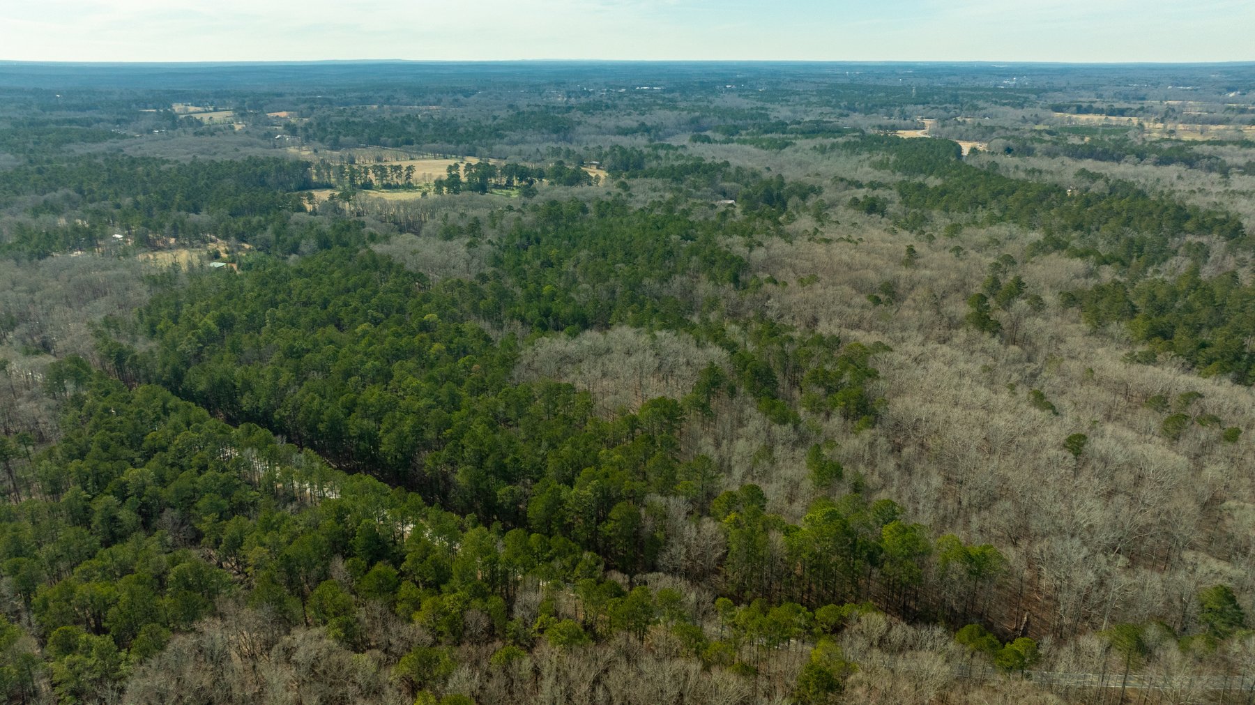 Image for 38.2 +/- Acres - Higgins Curve - Prime Building Lots w/ Recreational Acreage - Offered Divided & As A Whole