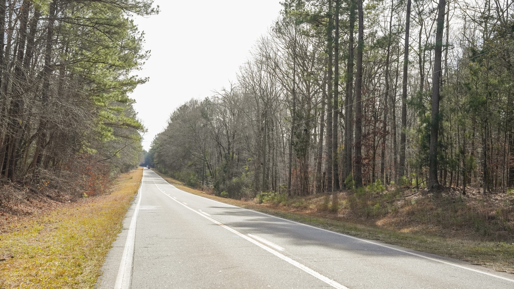 Image for 38.2 +/- Acres - Higgins Curve - Prime Building Lots w/ Recreational Acreage - Offered Divided & As A Whole