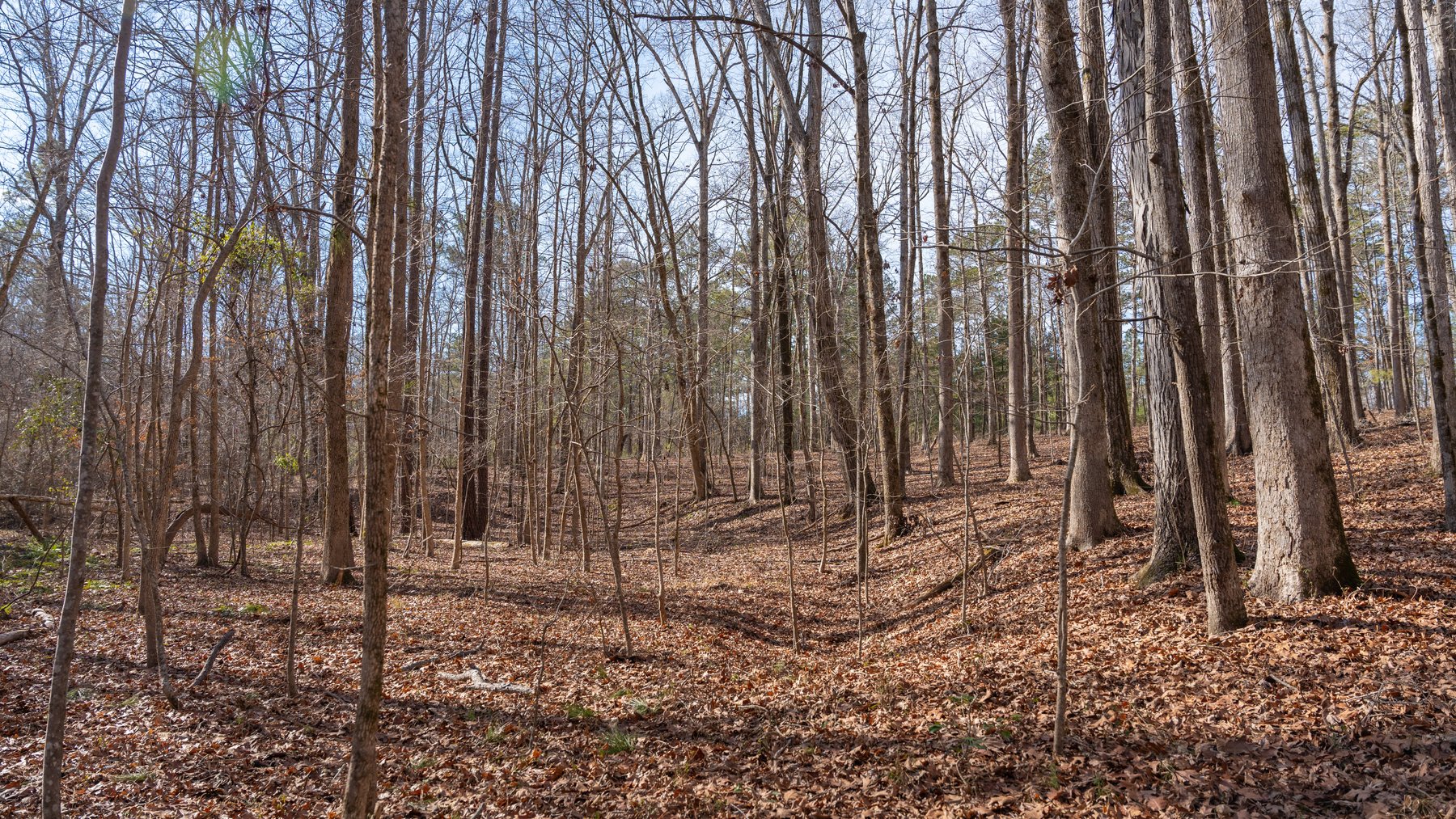 Image for 38.2 +/- Acres - Higgins Curve - Prime Building Lots w/ Recreational Acreage - Offered Divided & As A Whole