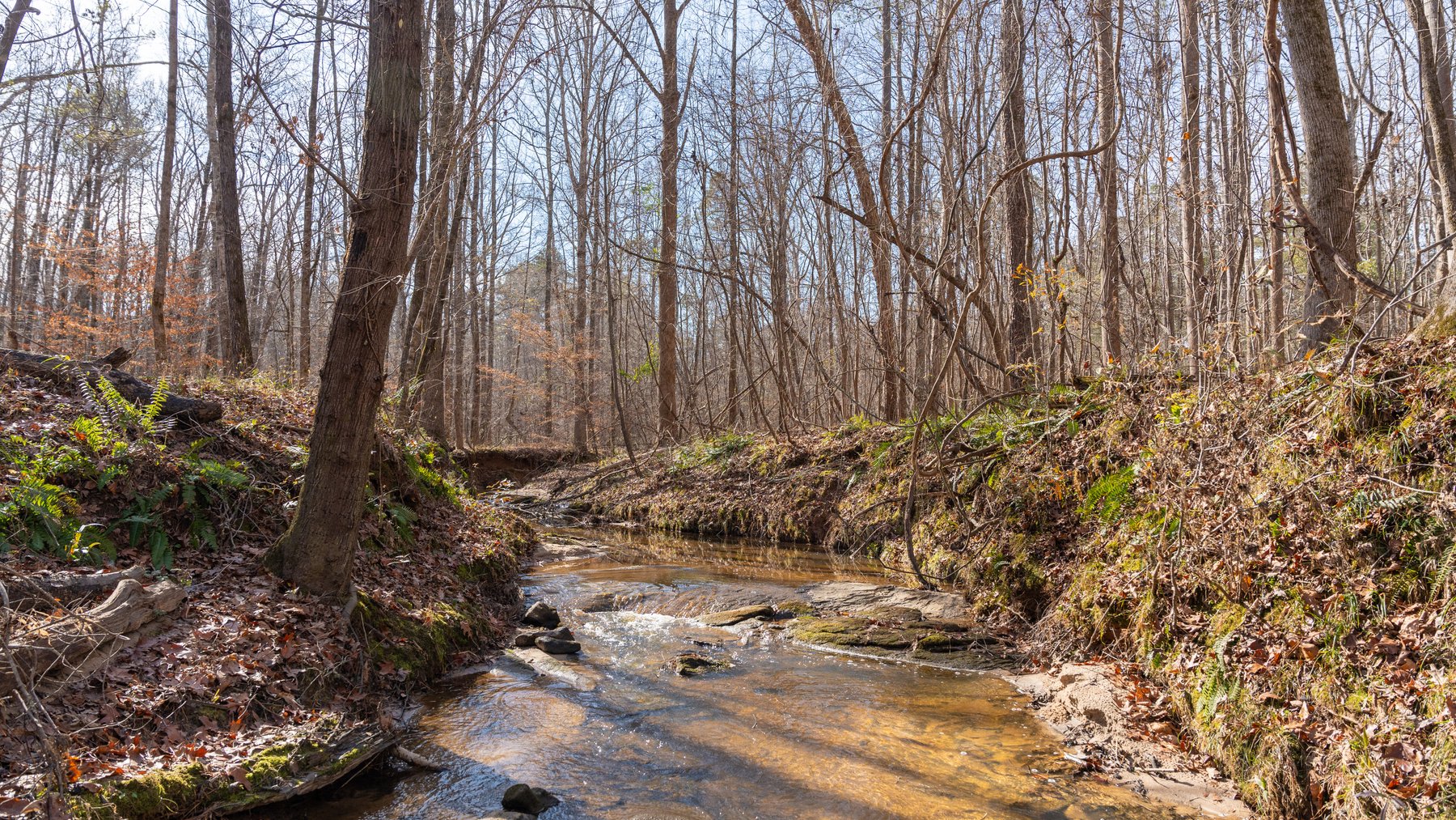 Image for 38.2 +/- Acres - Higgins Curve - Prime Building Lots w/ Recreational Acreage - Offered Divided & As A Whole