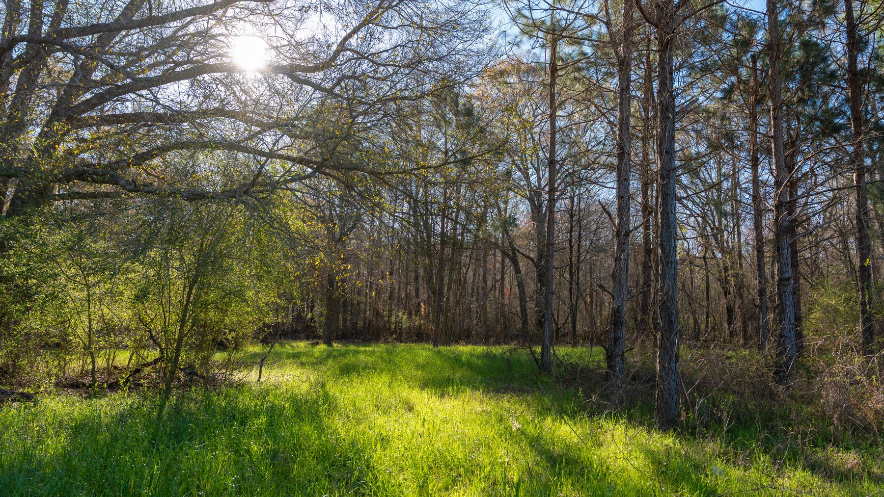 Image for 661+/- Acres - The Grass Farm - Highly Productive Irrigated Row Crop Farm - Ag & Recreational Investment Opportunity