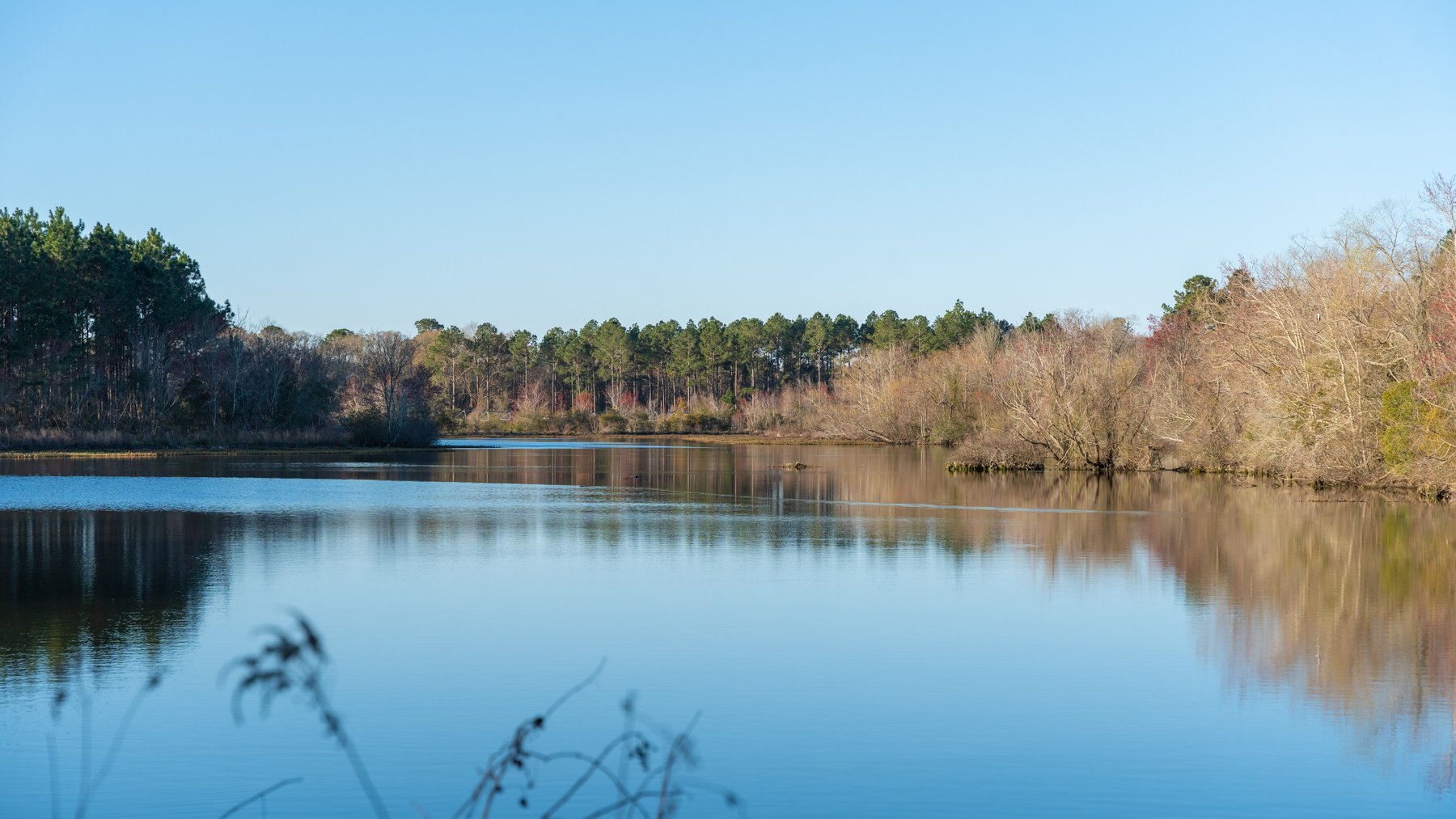 Image for 661+/- Acres - The Grass Farm - Highly Productive Irrigated Row Crop Farm - Ag & Recreational Investment Opportunity