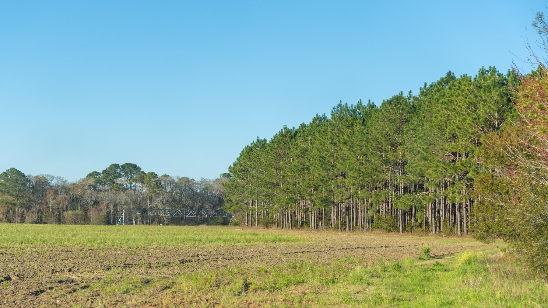 Image for 661+/- Acres - The Grass Farm - Highly Productive Irrigated Row Crop Farm - Ag & Recreational Investment Opportunity