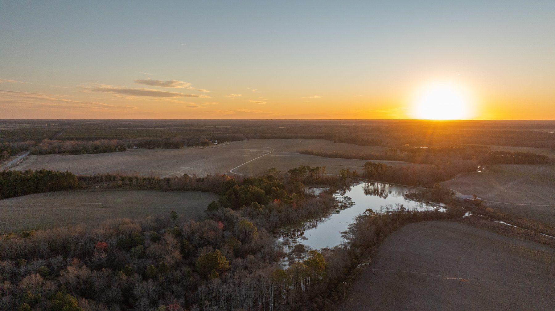 Image for 661+/- Acres - The Grass Farm - Highly Productive Irrigated Row Crop Farm - Ag & Recreational Investment Opportunity