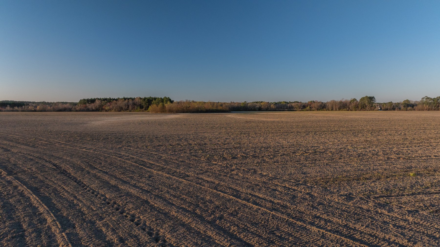 Image for 661+/- Acres - The Grass Farm - Highly Productive Irrigated Row Crop Farm - Ag & Recreational Investment Opportunity