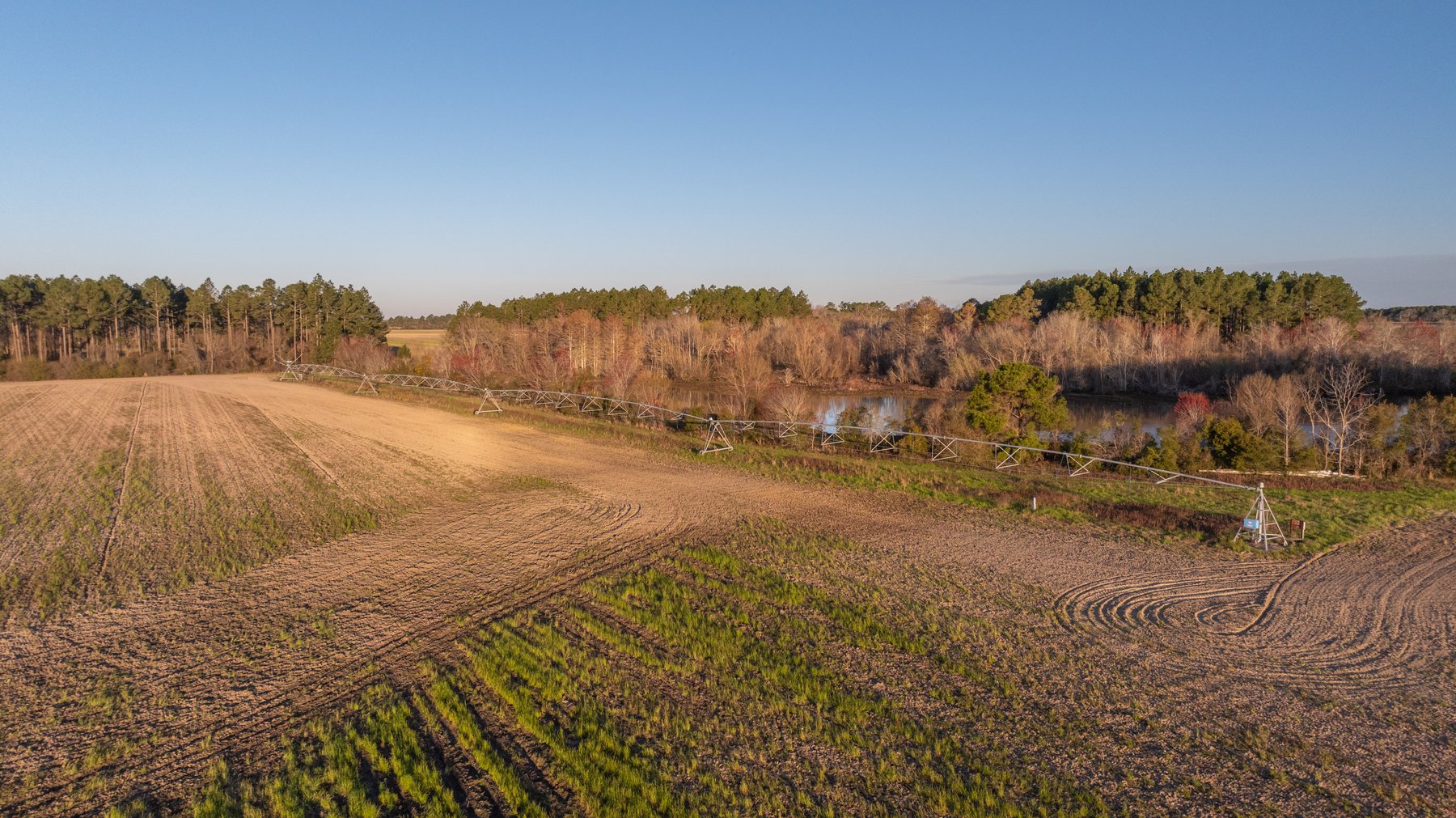 Image for 661+/- Acres - The Grass Farm - Highly Productive Irrigated Row Crop Farm - Ag & Recreational Investment Opportunity