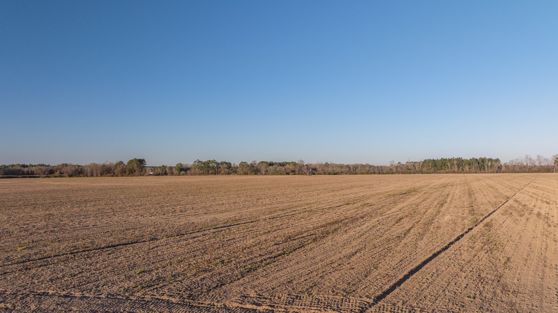 Image for 661+/- Acres - The Grass Farm - Highly Productive Irrigated Row Crop Farm - Ag & Recreational Investment Opportunity