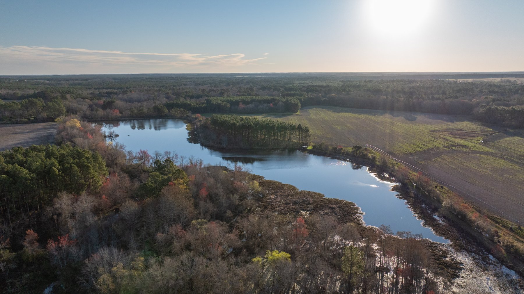 Image for 661+/- Acres - The Grass Farm - Highly Productive Irrigated Row Crop Farm - Ag & Recreational Investment Opportunity