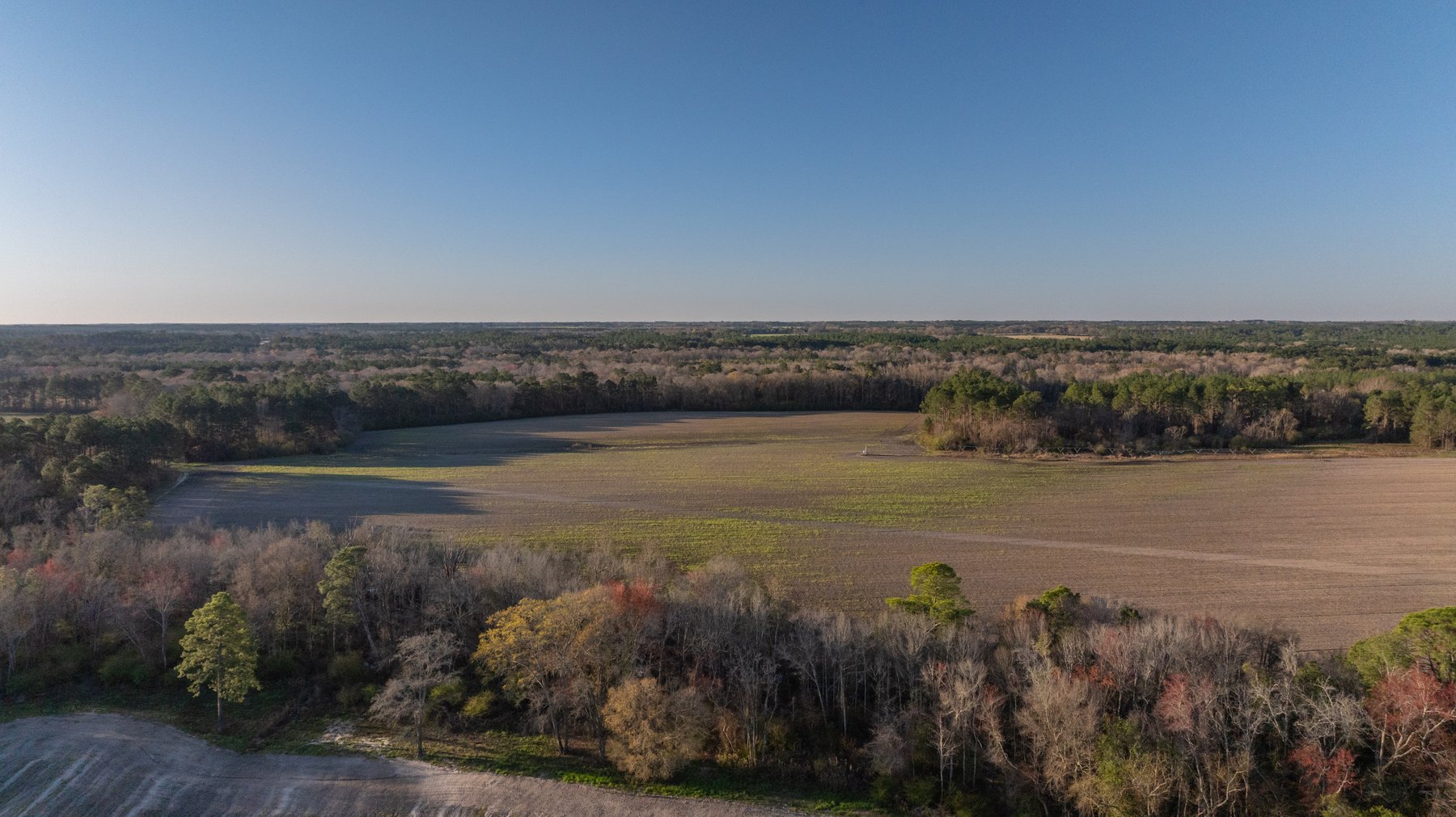 Image for 661+/- Acres - The Grass Farm - Highly Productive Irrigated Row Crop Farm - Ag & Recreational Investment Opportunity