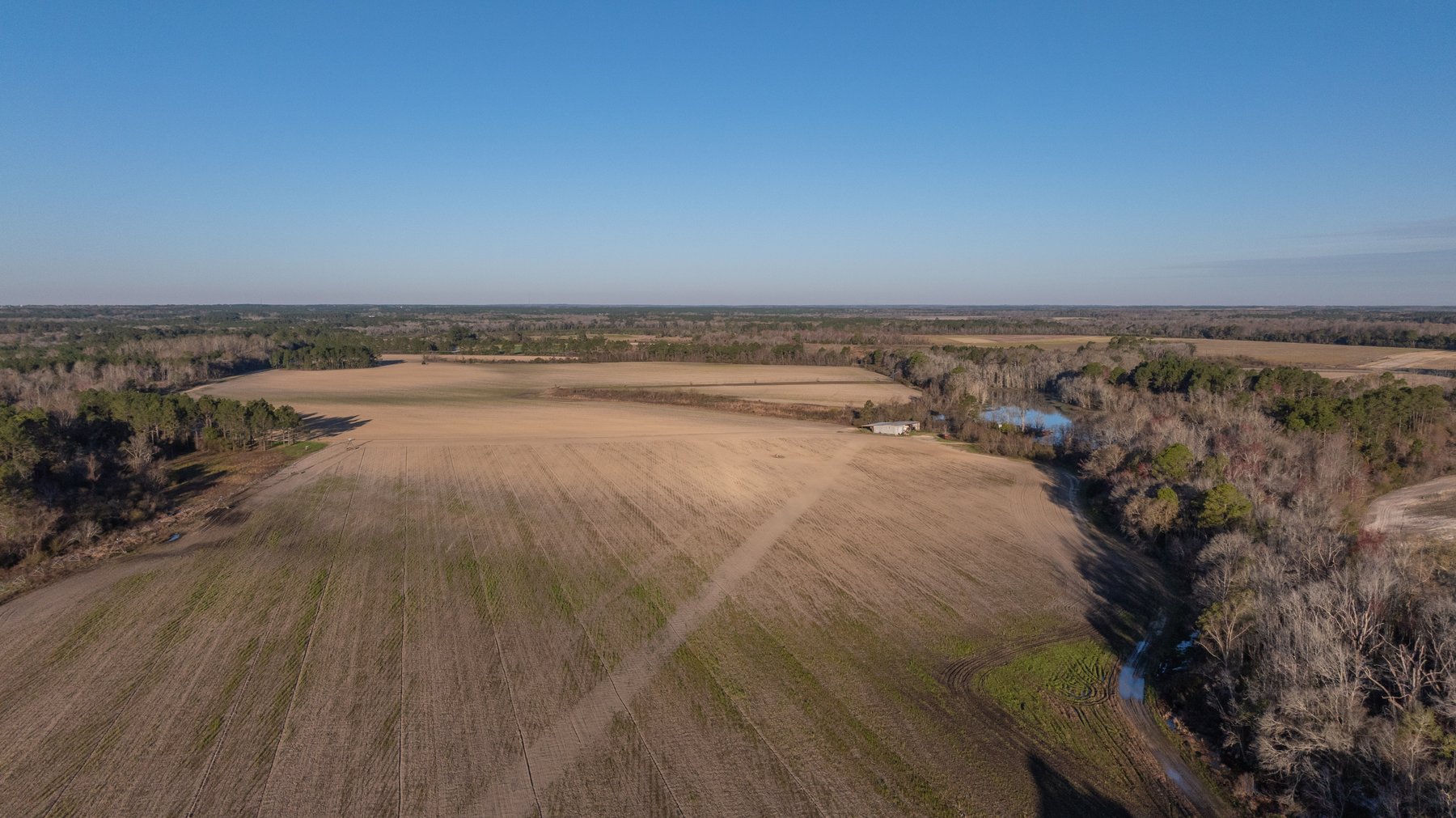 Image for 661+/- Acres - The Grass Farm - Highly Productive Irrigated Row Crop Farm - Ag & Recreational Investment Opportunity