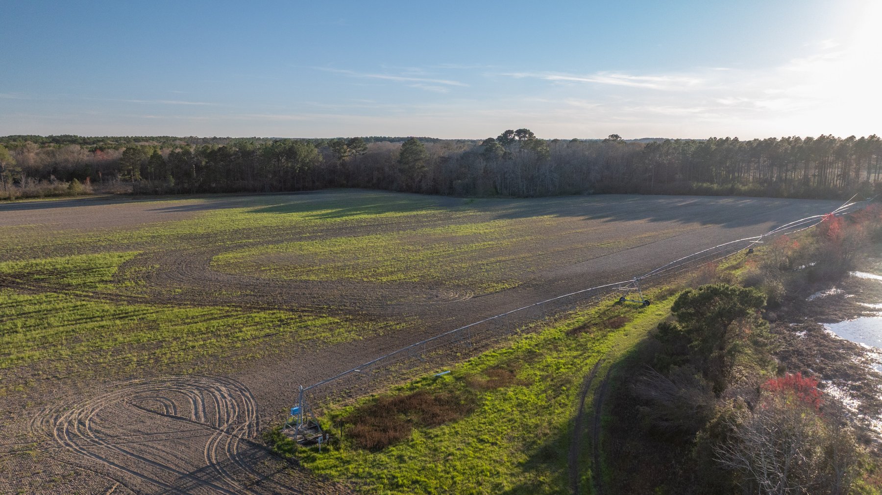 Image for 661+/- Acres - The Grass Farm - Highly Productive Irrigated Row Crop Farm - Ag & Recreational Investment Opportunity