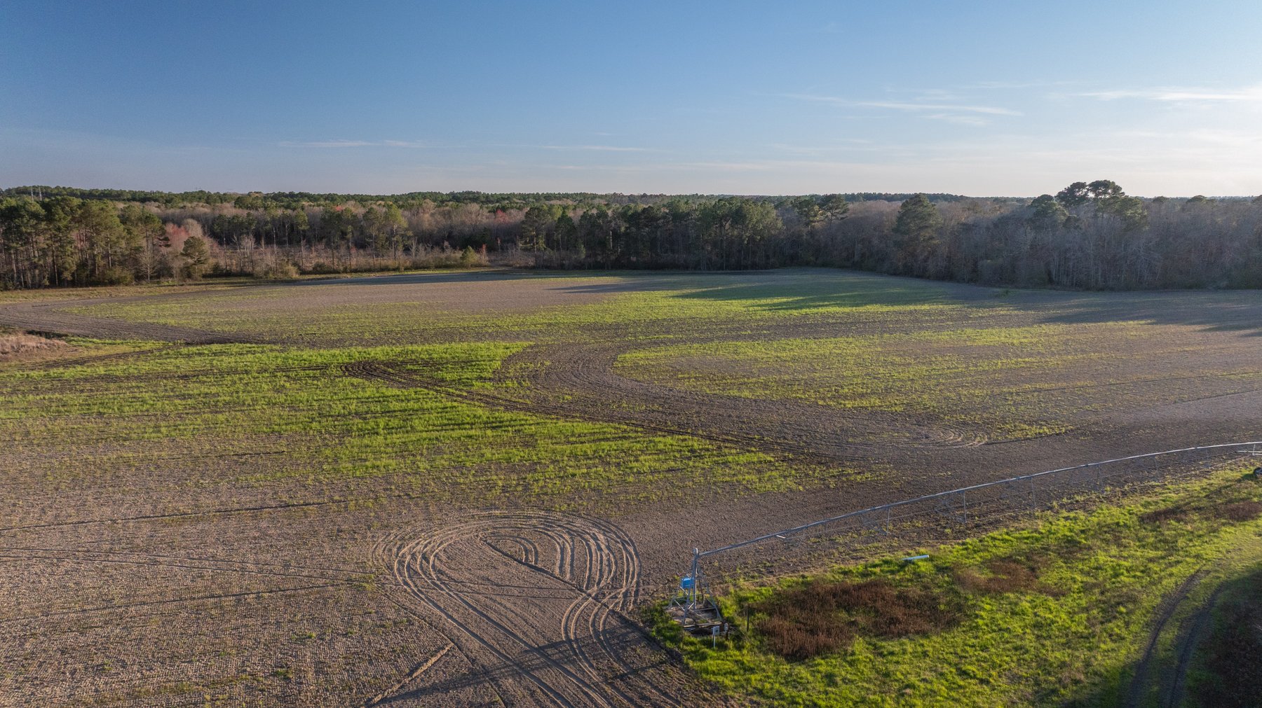 Image for 661+/- Acres - The Grass Farm - Highly Productive Irrigated Row Crop Farm - Ag & Recreational Investment Opportunity