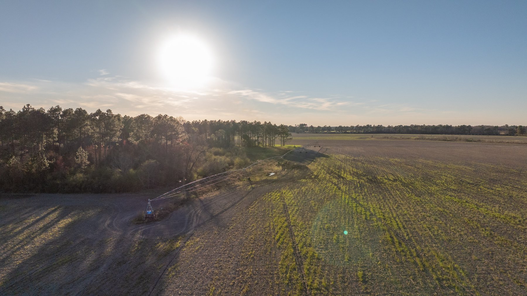 Image for 661+/- Acres - The Grass Farm - Highly Productive Irrigated Row Crop Farm - Ag & Recreational Investment Opportunity