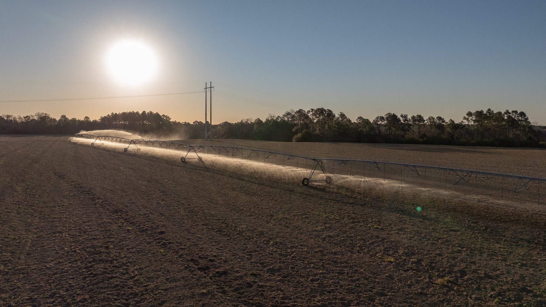 Image for 661+/- Acres - The Grass Farm - Highly Productive Irrigated Row Crop Farm - Ag & Recreational Investment Opportunity