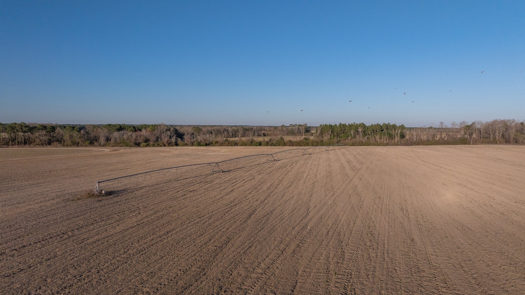 Image for 661+/- Acres - The Grass Farm - Highly Productive Irrigated Row Crop Farm - Ag & Recreational Investment Opportunity