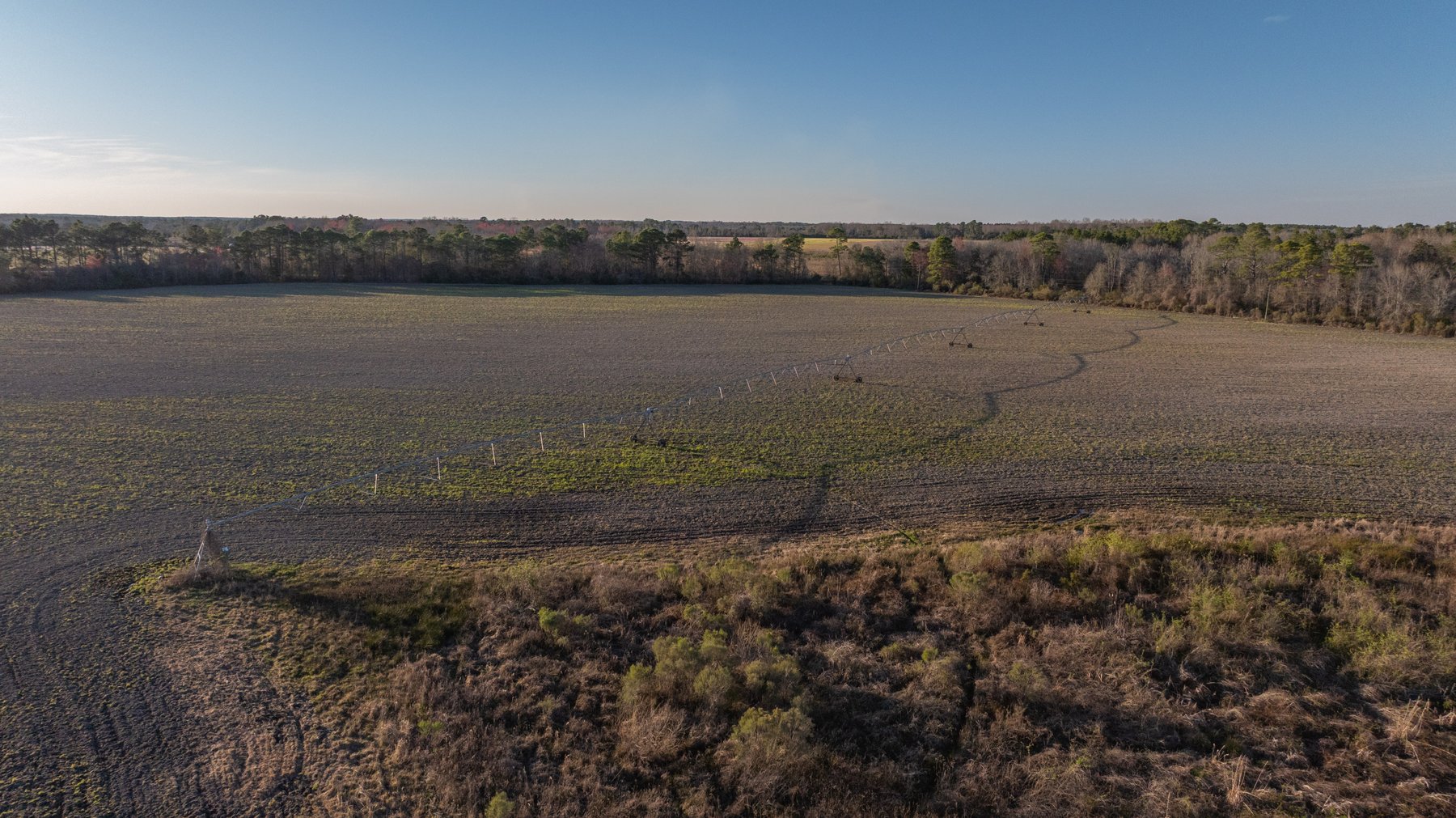 Image for 661+/- Acres - The Grass Farm - Highly Productive Irrigated Row Crop Farm - Ag & Recreational Investment Opportunity