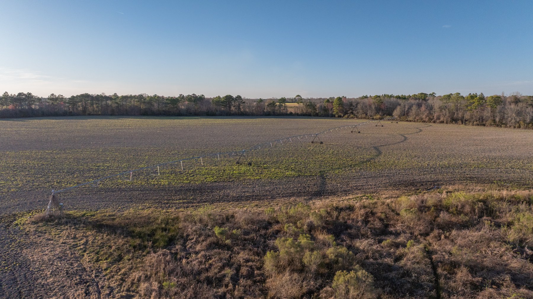Image for 661+/- Acres - The Grass Farm - Highly Productive Irrigated Row Crop Farm - Ag & Recreational Investment Opportunity